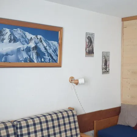 Fonctionnel Au Pied Des Pistes Avec Vue Sur Le Mont Blanc - Fr-1-181-2616 * La Plagne